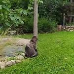 Egkoris Vendeghaz