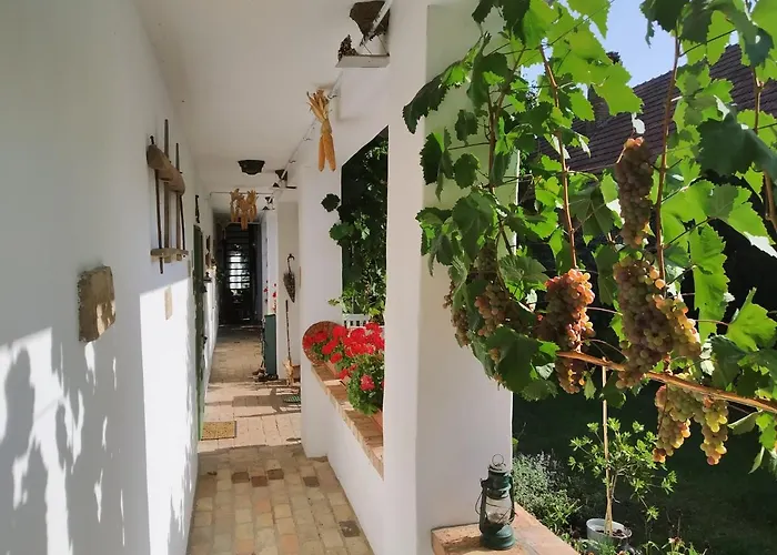 Egkoris Vendeghaz Pensionat