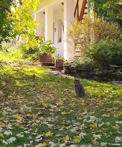 Egkoris Vendeghaz Konukevi 3*